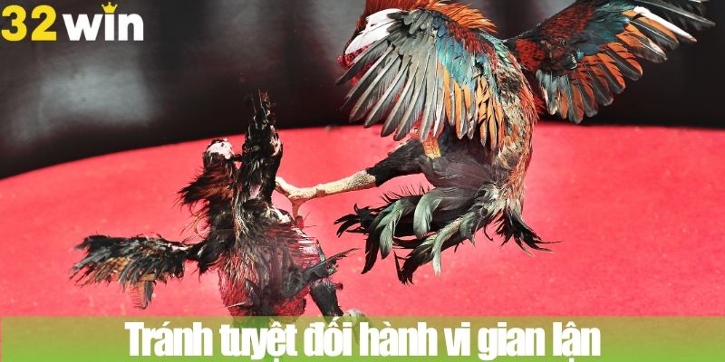 Tránh tuyệt đối hành vi gian lận